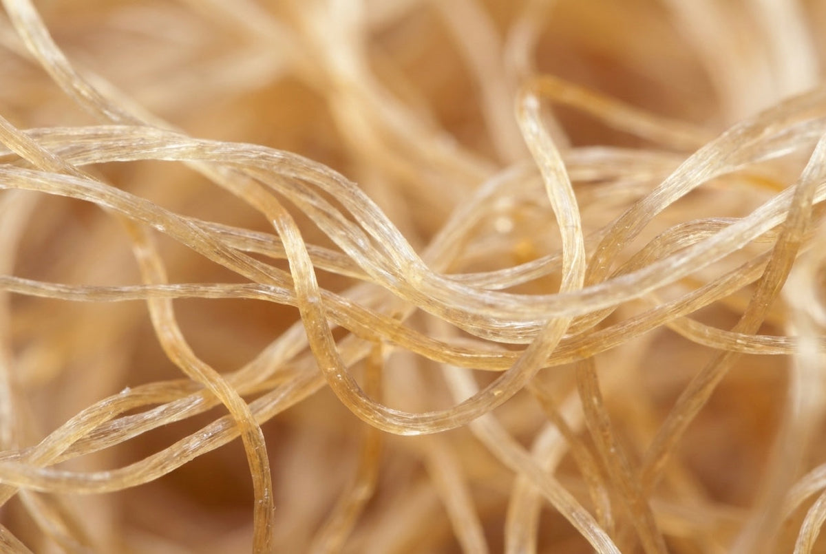 Elastin