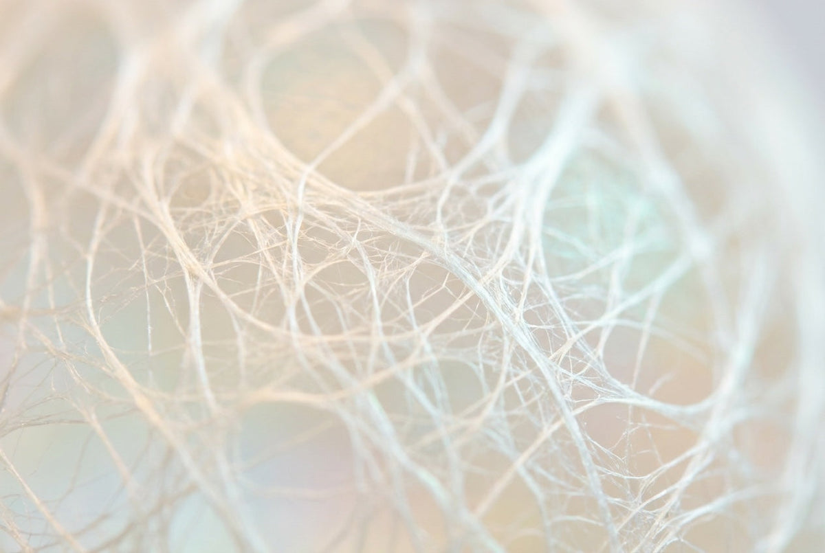 Ovomet® (Eggshell Membrane)
